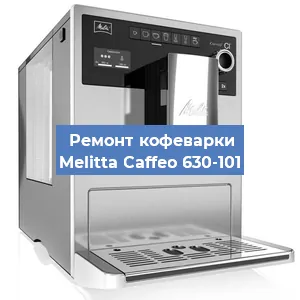 Чистка кофемашины Melitta Caffeo 630-101 от накипи в Краснодаре